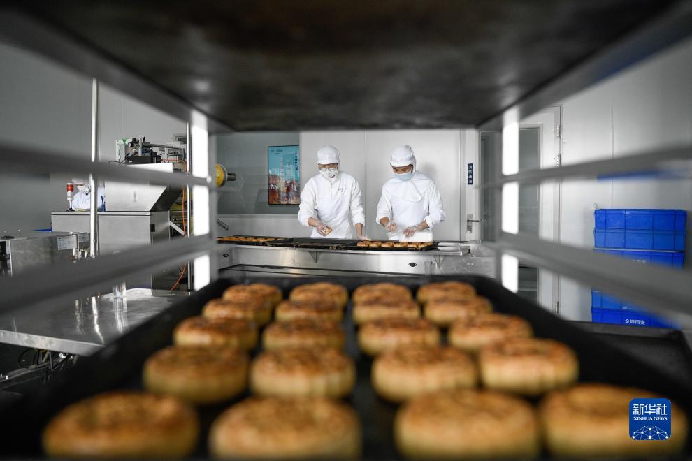 娱乐世界用户手机登录平台